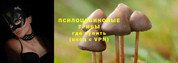 круглые Армянск